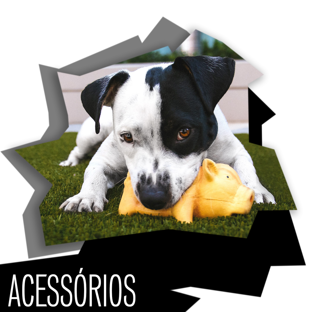 Acessórios