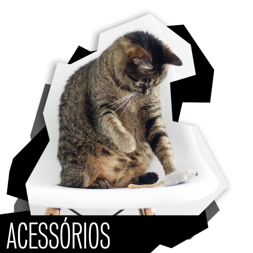 Acessórios