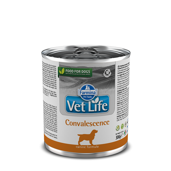 Vet Life Convalescence Comida Húmida Canine 300g