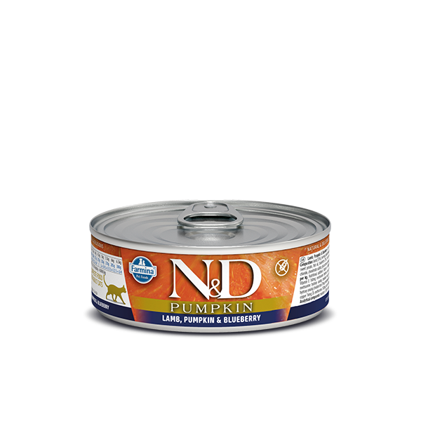 N&D LAMB, PUMPKIN & BLUEBERRY WET FOOD 70g