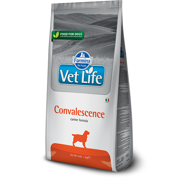Vet Life Convalescence Canine 2Kg