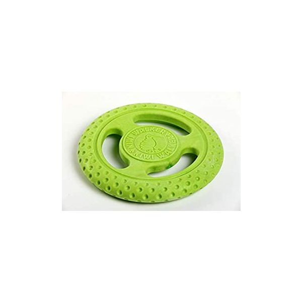 Let´s Play Frisbee