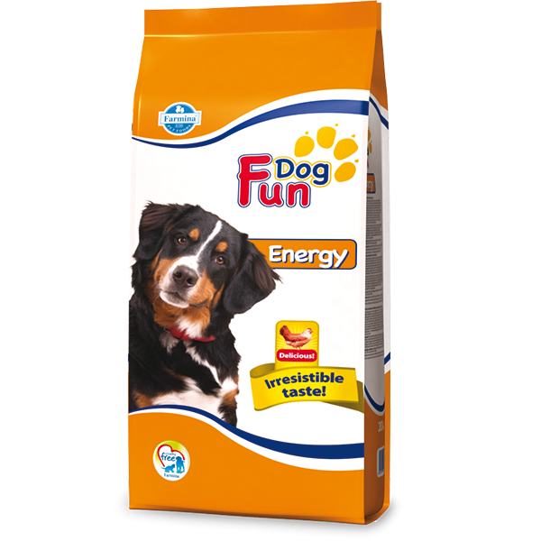 Fun Dog Energy