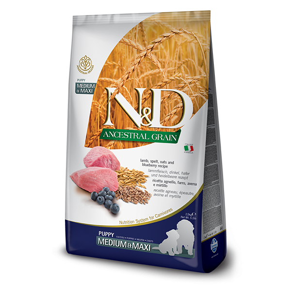 N&D Low Ancestral Grain Lamb & Blueberry Puppy Medium-Maxi Dog-12Kg