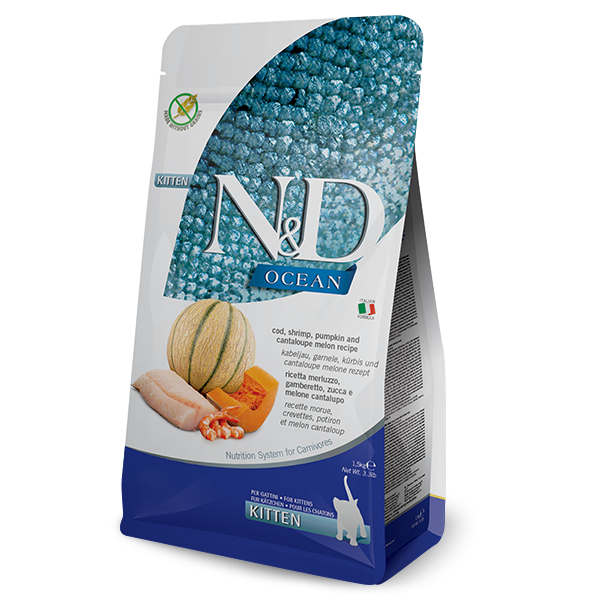 N&D OCEAN - COD, SHRIMP, PUMPKIN, CANTALOUPE MELON KITTEN 5KG