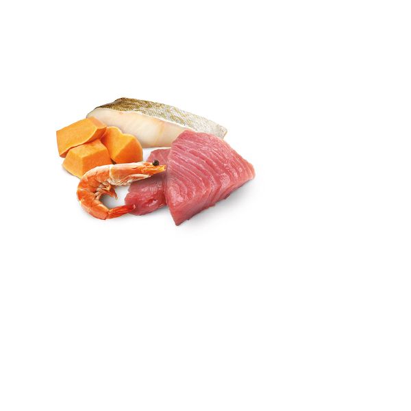 N&D Ocean - Tuna, Cod, Shrimp & Pumpkin Kitten wet food 70g 