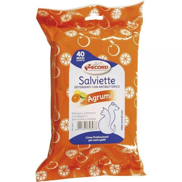 Toalhitas antibaterianas SALVIETTE 40 toalhitas