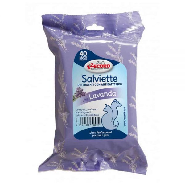 Toalhitas antibaterianas SALVIETTE 40 toalhitas