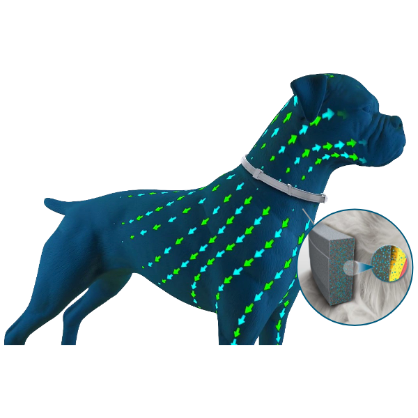Seresto Cão Pequeno (-8kg)
