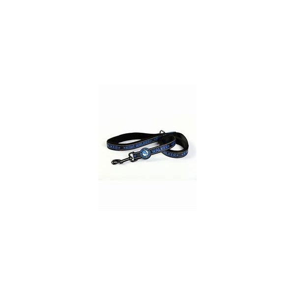 Kiwi Walker Leash blue M - 20mm - 140cm