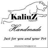 Kaliuz